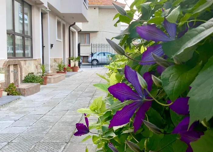 Πανσιόν Briz 4*